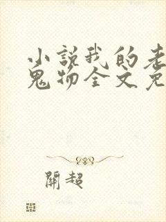 小说我的老公是鬼物全文免费阅读