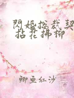 闪婚总裁契约妻 拈花拂柳