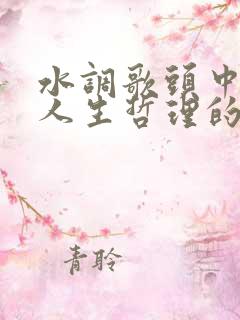 水调歌头中富含人生哲理的句子是