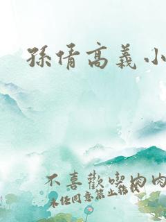 孙倩高义小说