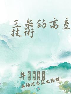 玉米的高产种植技术