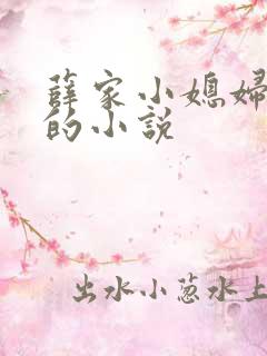 薛家小媳妇类似的小说