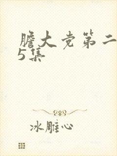 胆大党第二季第5集