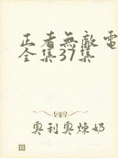 正者无敌电视剧全集37集