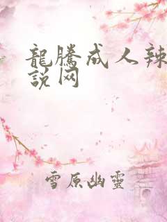 龙腾成人辣文小说网