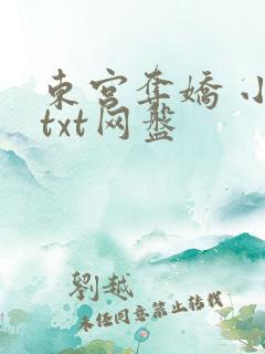 东宫夺娇 小说txt网盘