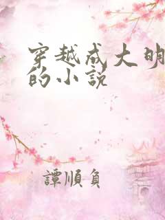 穿越成大明朱棣的小说