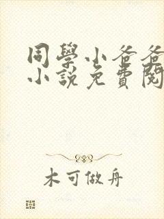 同学小爸爸李凯小说免费阅读全文
