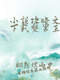 小说攻略文怎么下载双男主的小说