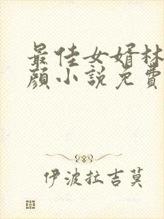 最佳女婿林羽江颜小说免费全本阅读
