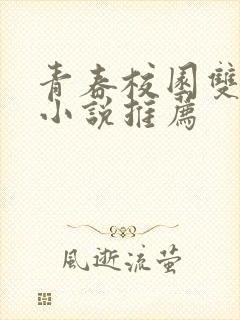青春校园双男主小说推荐