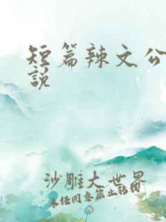短篇辣文公交小说