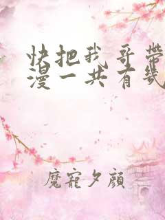 快把我哥带走动漫一共有几季