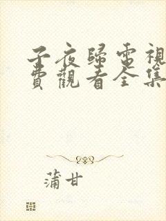 子夜归电视剧免费观看全集高清22