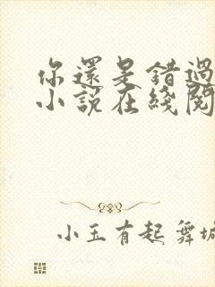 你还是错过了我小说在线阅读