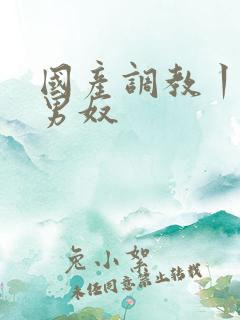 国产调教丨vk男奴