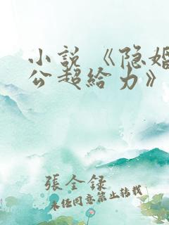 小说 《隐婚老公超给力》