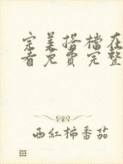 完美搭档在线观看免费完整观看高清