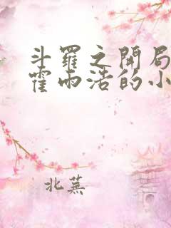 斗罗之开局公布霍雨浩的小说