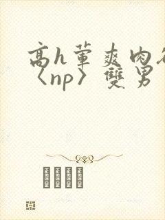 高h荤爽肉欲文〈np〉双男