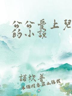 公公爱上儿媳妇的小说