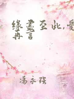 缘尽至此,爱不再言