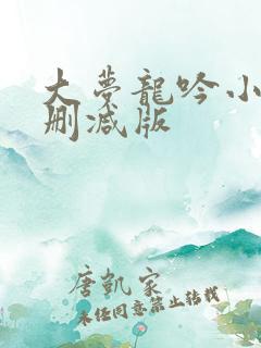 大梦龙吟小说无删减版
