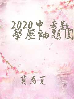 2020中考数学压轴题圆的综合