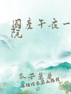 国产午夜一级影院