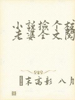 小说捡个校花做老婆全文阅读
