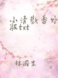 小清欢番外完整版txt