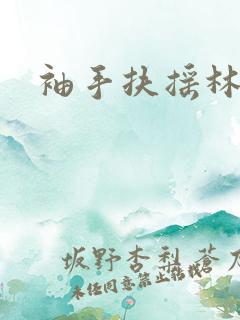 袖手扶摇林凡