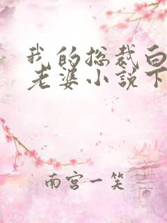 我的总裁白富美老婆小说下载