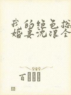 我的绝色总裁未婚妻沈浪全本