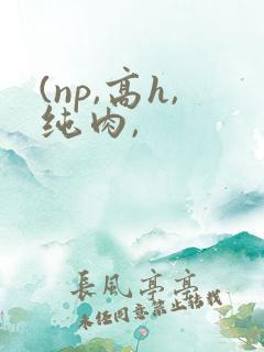 (np,高h,纯肉,