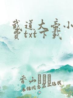 武道大帝小说免费txt下载