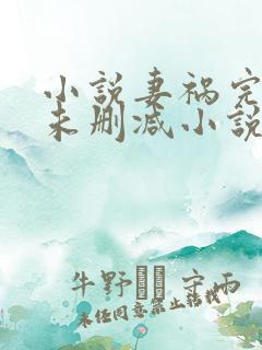 小说妻祸完整版未删减小说