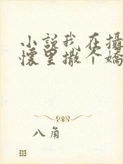 小说我在摄政王怀里撒个娇