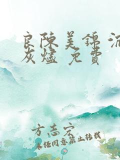 良陈美锦 沉香灰烬 免费
