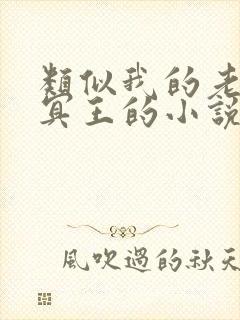 类似我的老公是冥王的小说