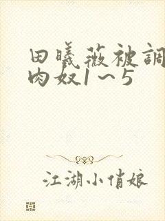 田曦薇被调教成肉奴1～5