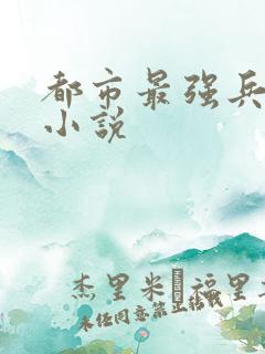 都市最强兵王 小说