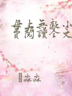母上无敌小说免费阅读全文最新章节