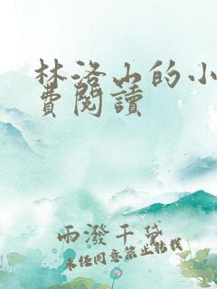 林洛山的小说免费阅读