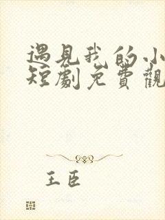 遇见我的小欢喜短剧免费观看全集高清