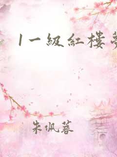 1一级红楼梦