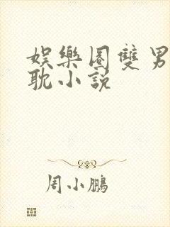 娱乐圈双男主原耽小说