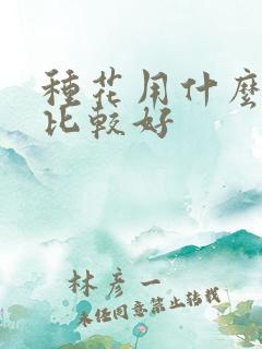 种花用什么肥料比较好
