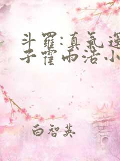 斗罗:真气运之子霍雨浩小说