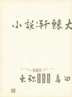 小说:轩辕大宝